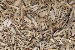 biomass boilers Selly Oak